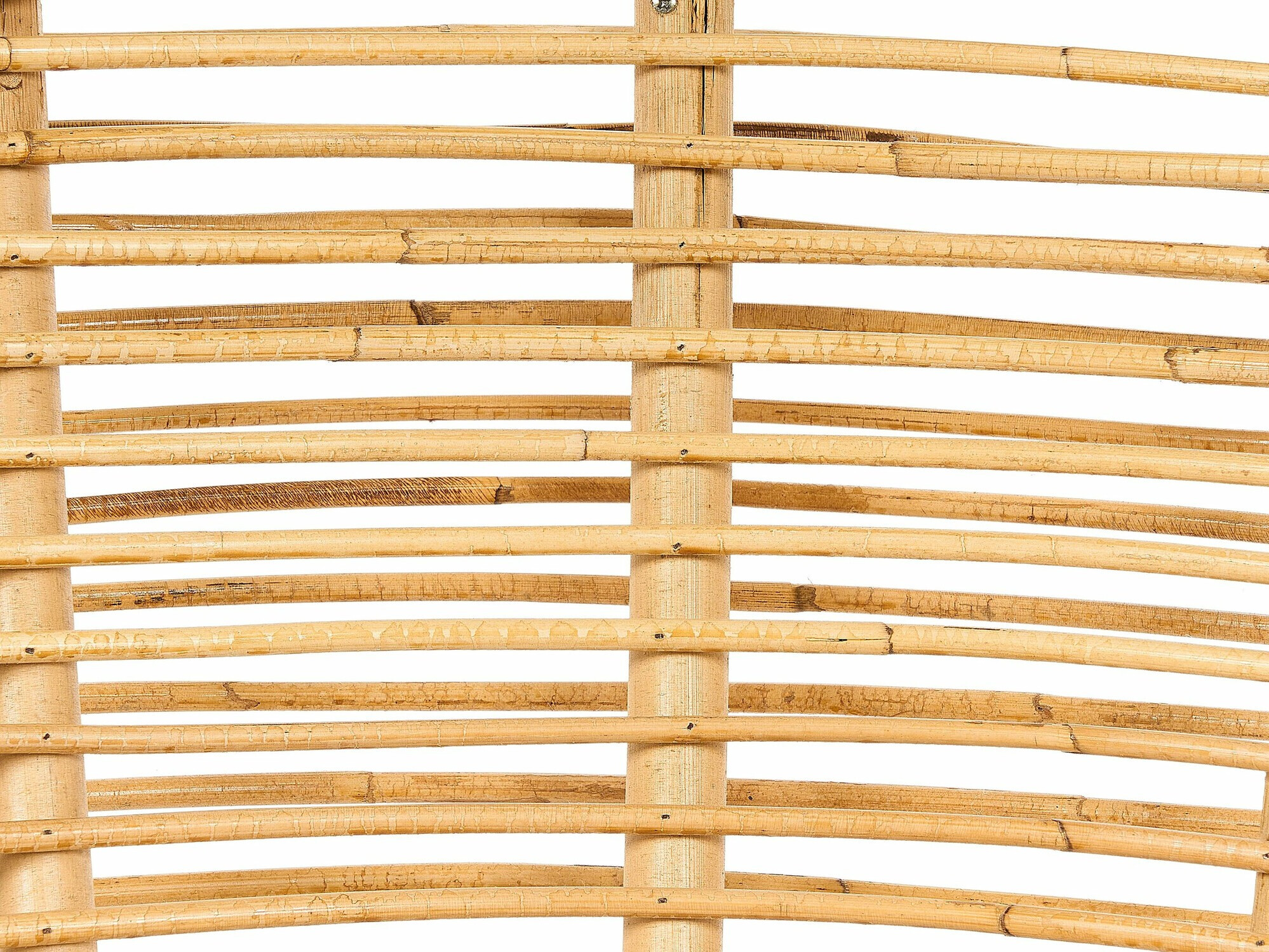 Aiadiivan Marsona 100