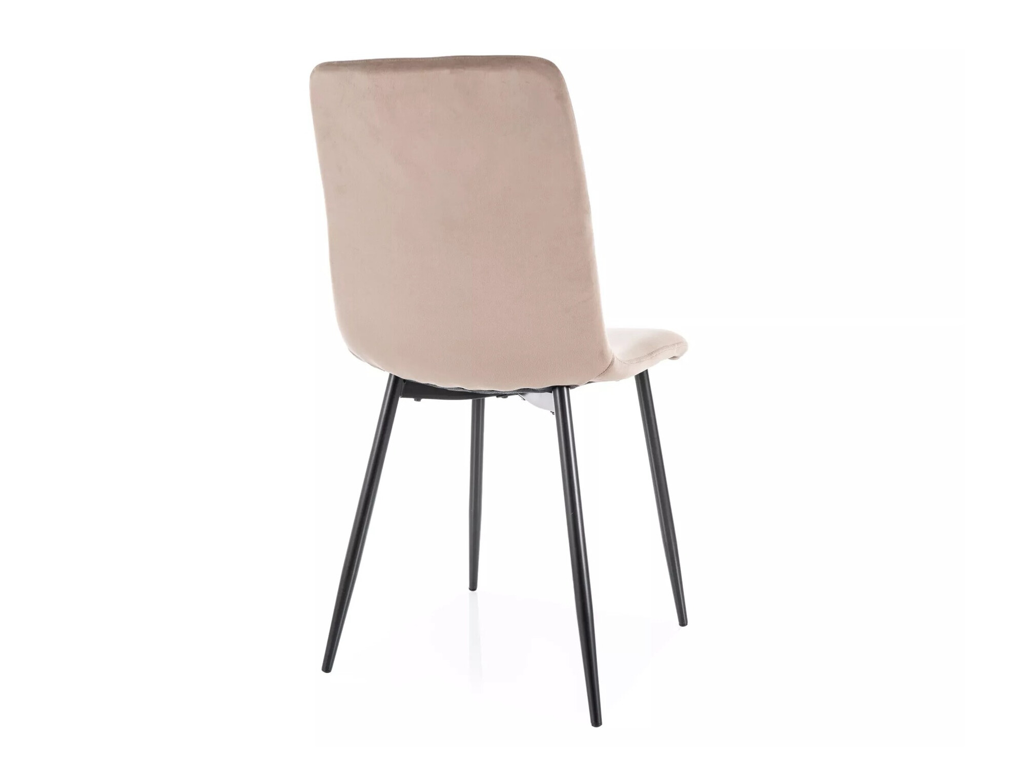 Tool Detroit 750 (Beež)