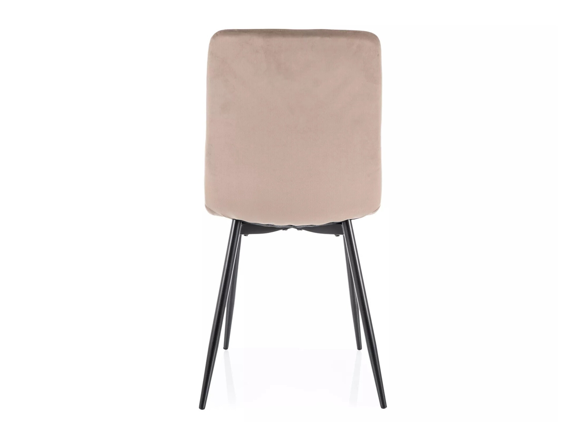 Tool Detroit 750 (Beež)