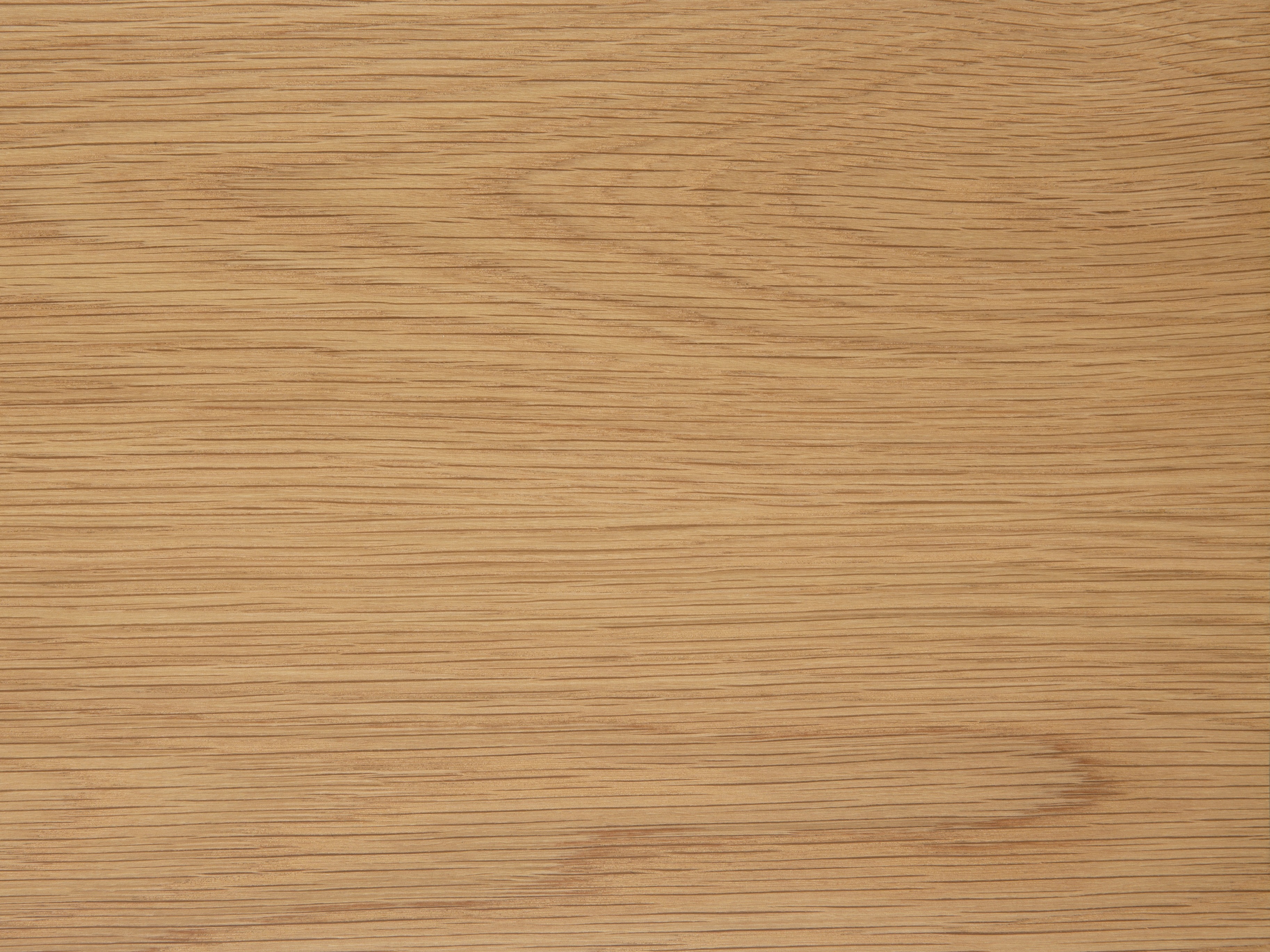 Tool Norsica 319 (Tamm + Must)