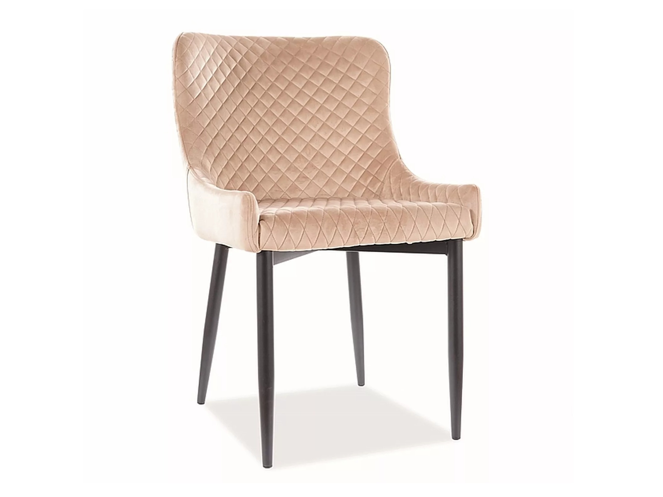 Tool Detroit 768 (Beež)