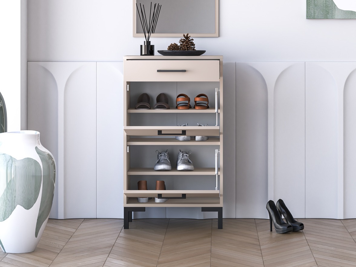 Kingariiul Fiolevo 101