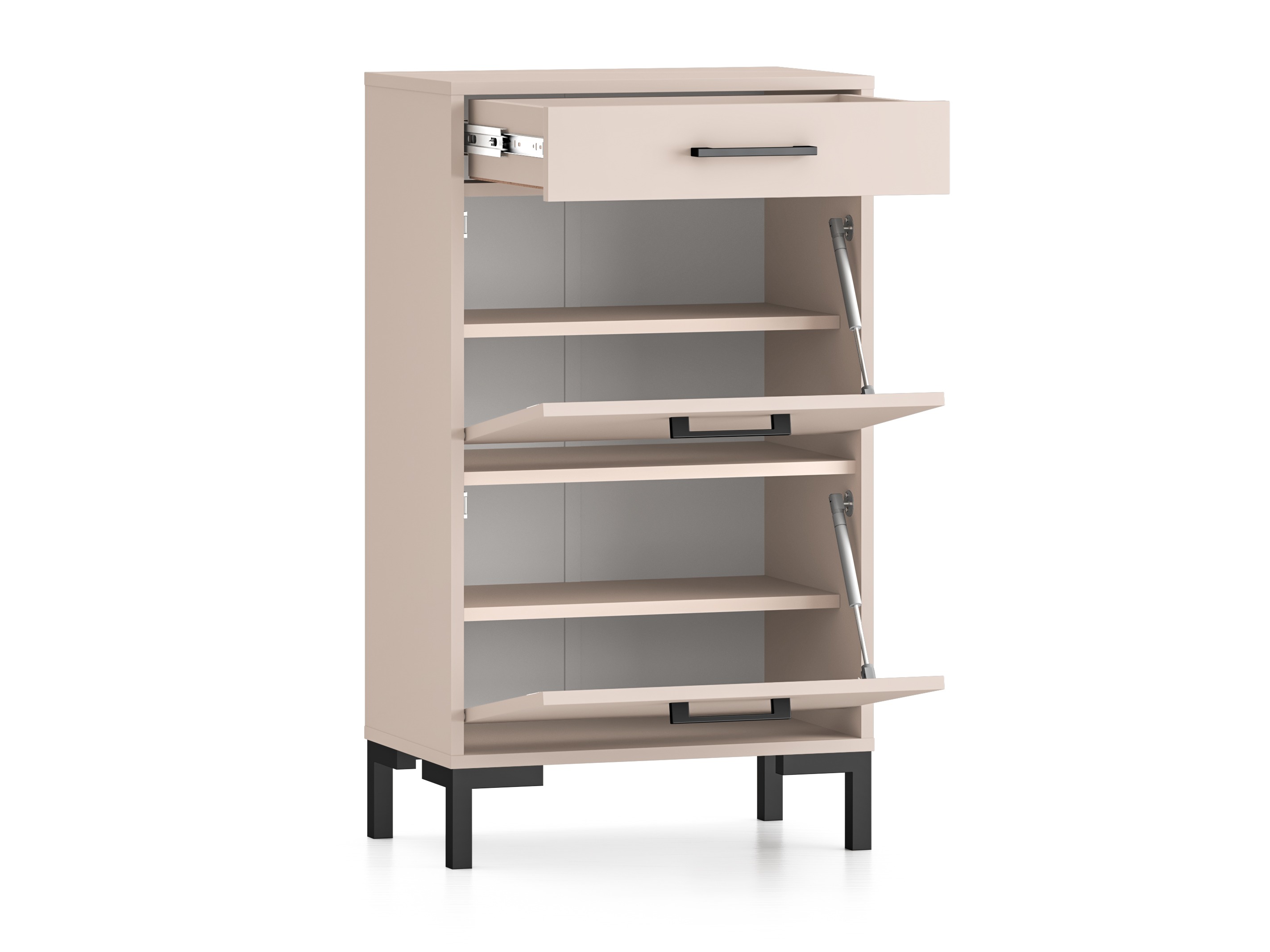 Kingariiul Fiolevo 101