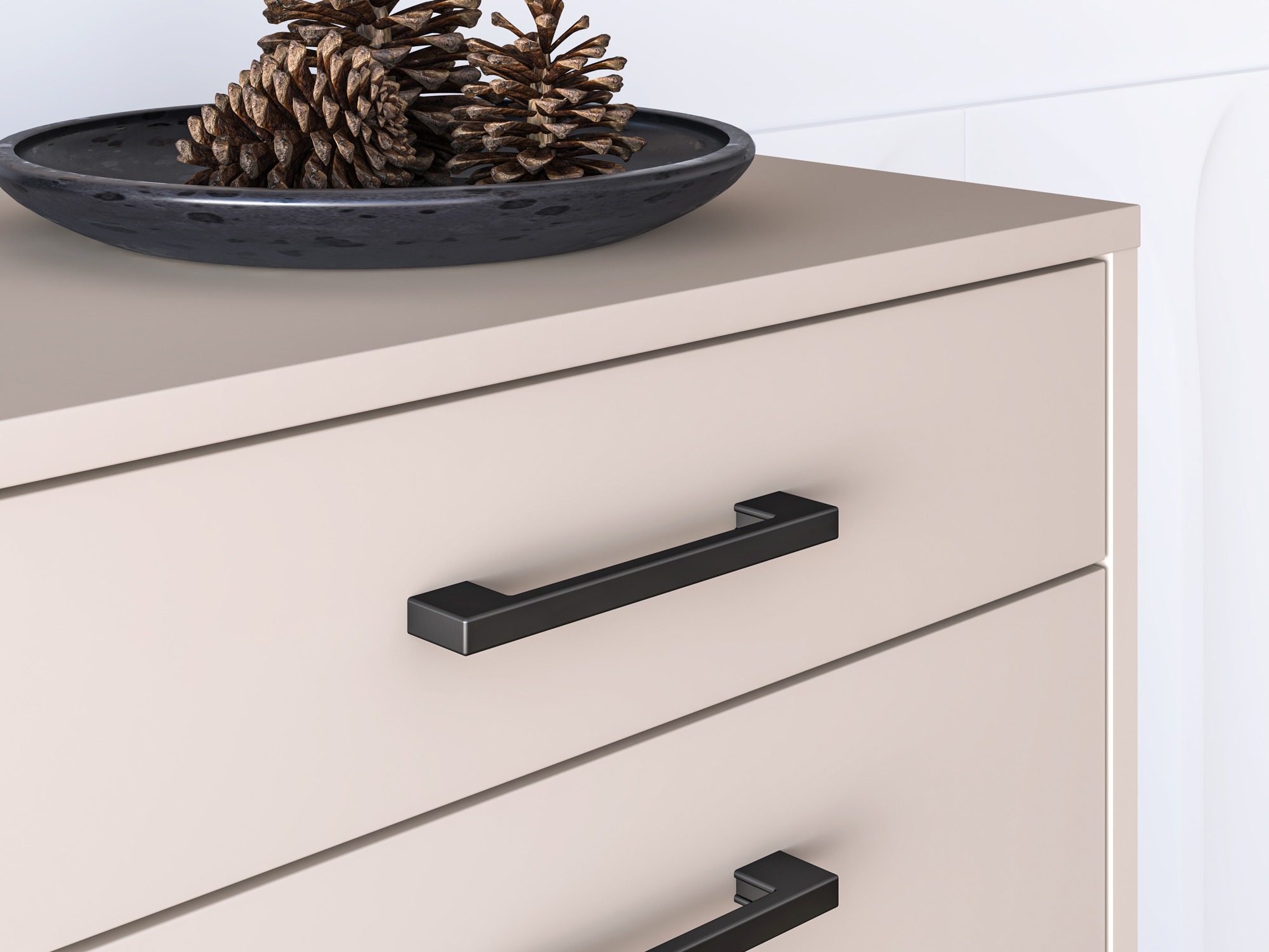 Kingariiul Fiolevo 101