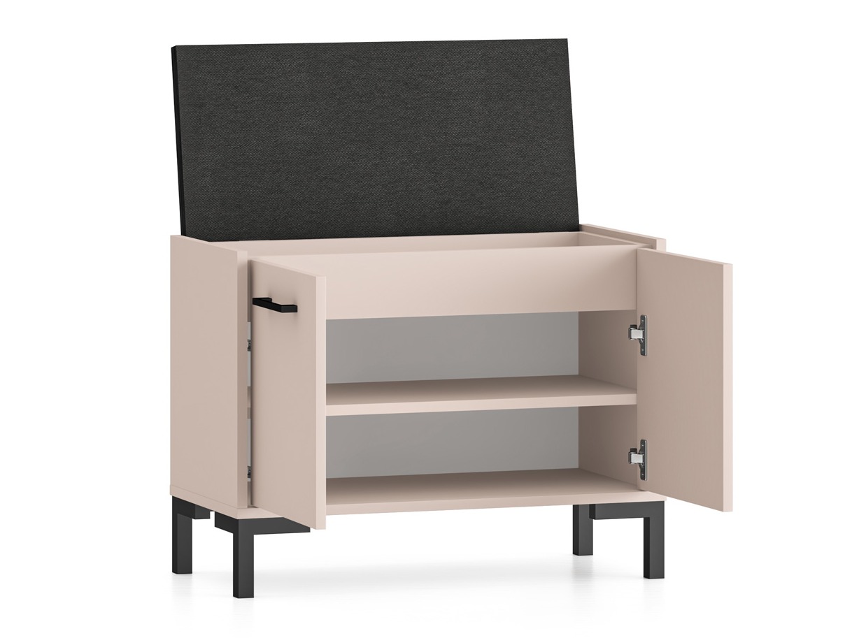 Kingariiul Fiolevo 102