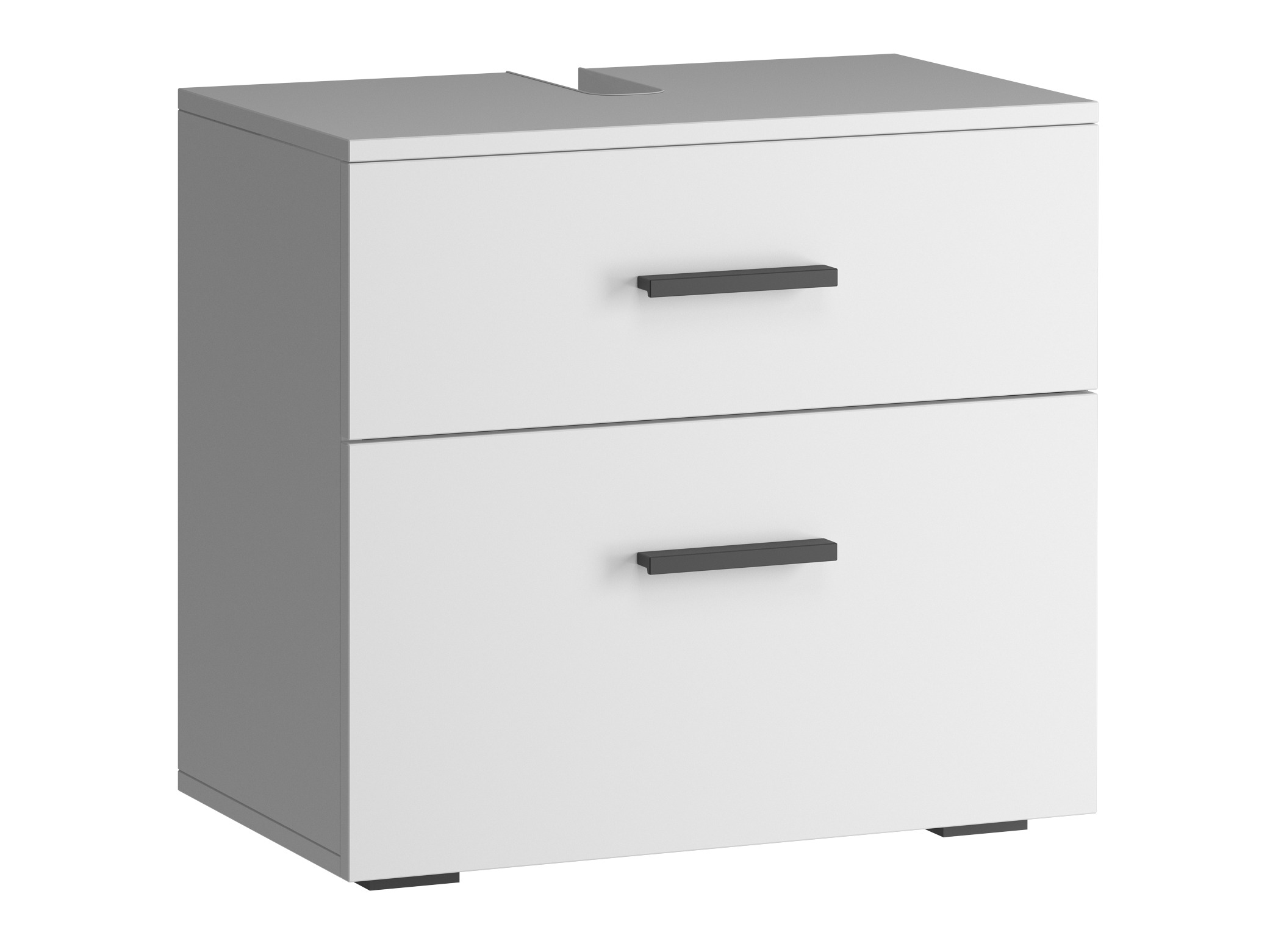 Vannitoa põrandakapp kraanikausile Larlori 100 (Valge)