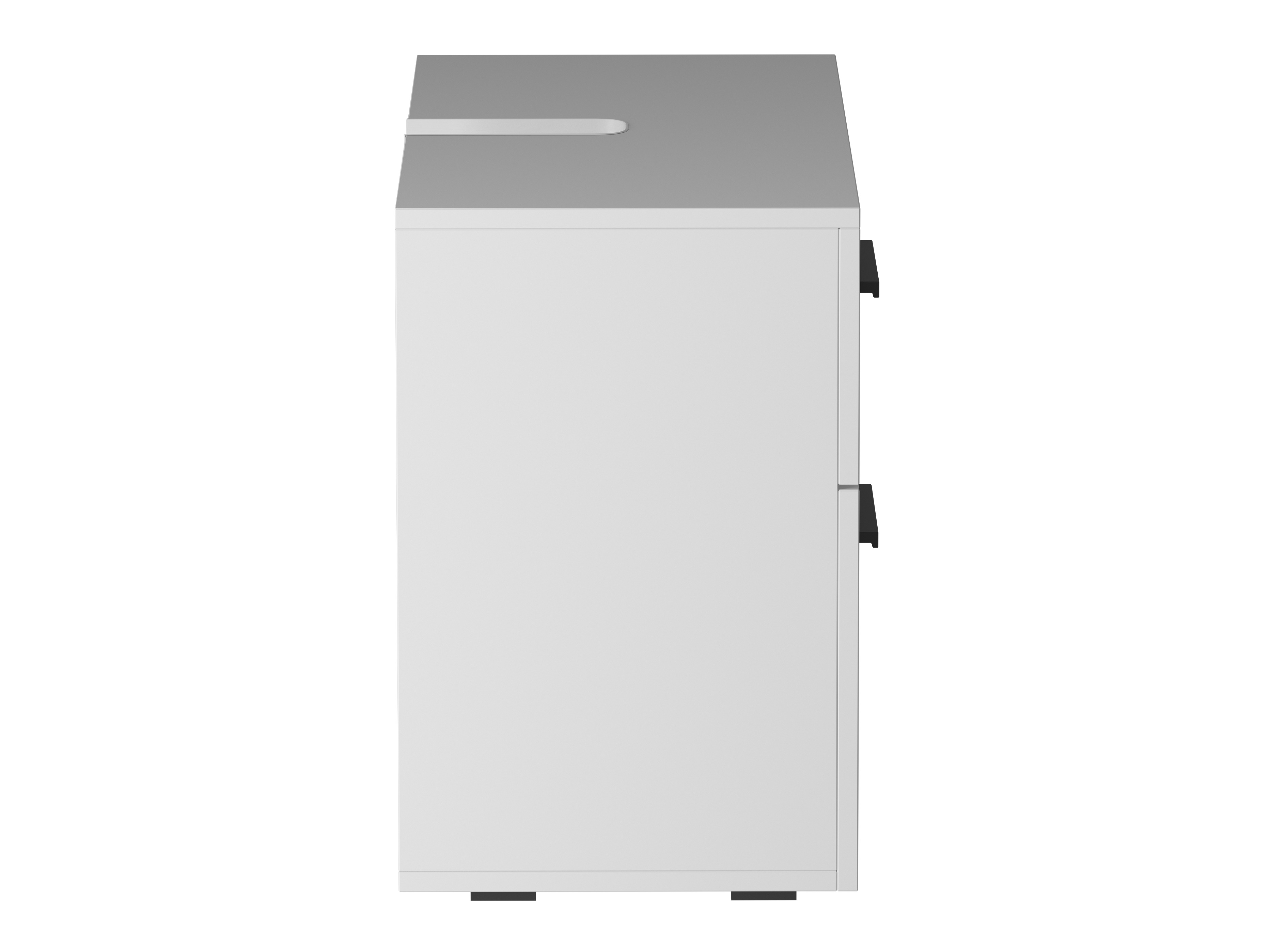 Vannitoa põrandakapp kraanikausile Larlori 100 (Valge)