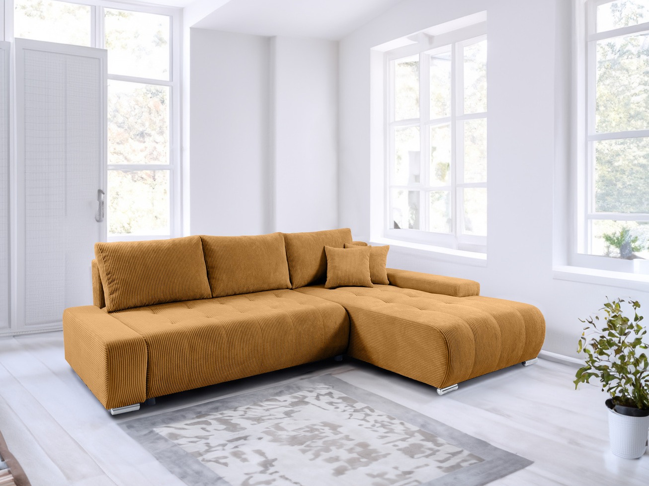 Nurgadiivan Franklin 110 (Poso 01)