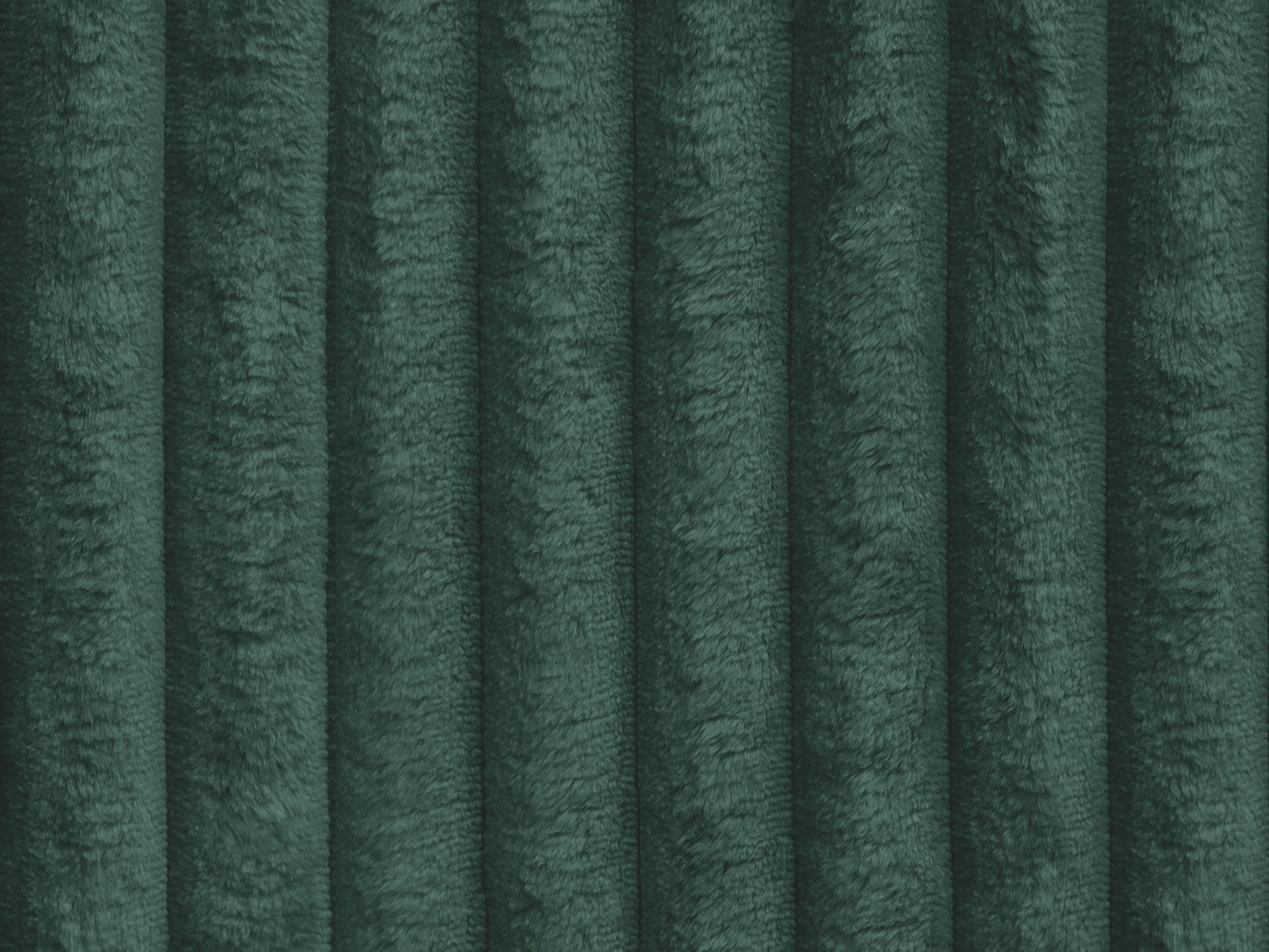 Nurgadiivan Franklin 155 (Tilia 39)