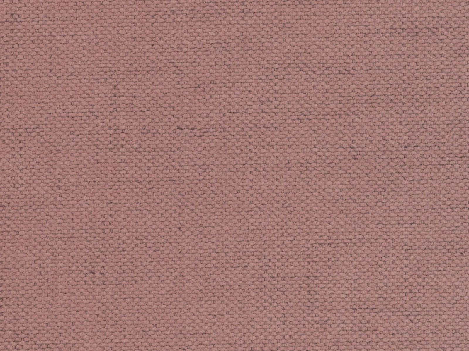 Voodi Beckley 205 (Moly 63)