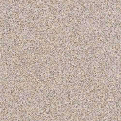 Nurgadiivan Clinton 101 (Lambi 06)