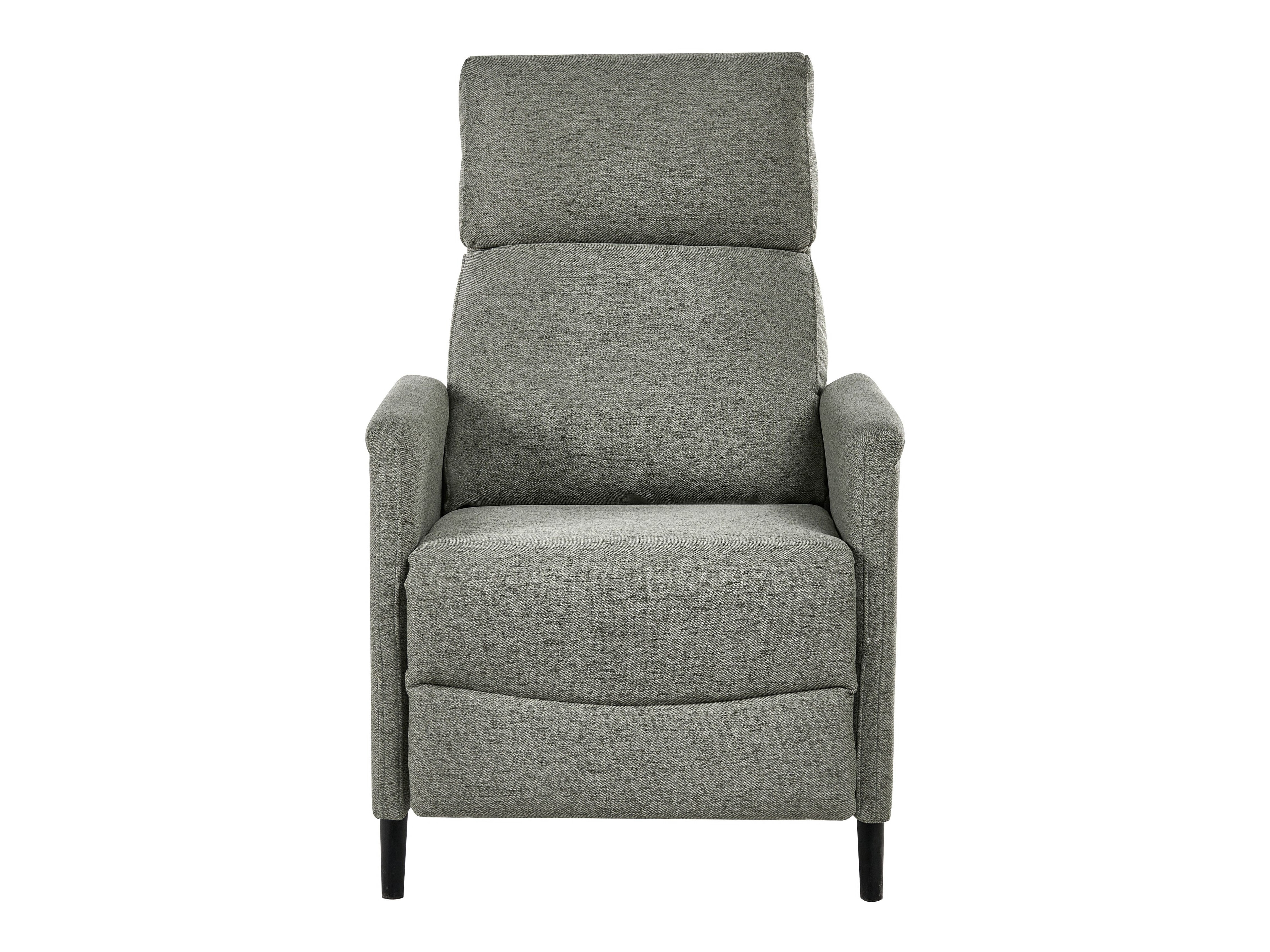 Tugitool recliner Berwyn 2462 (Heleroheline)
