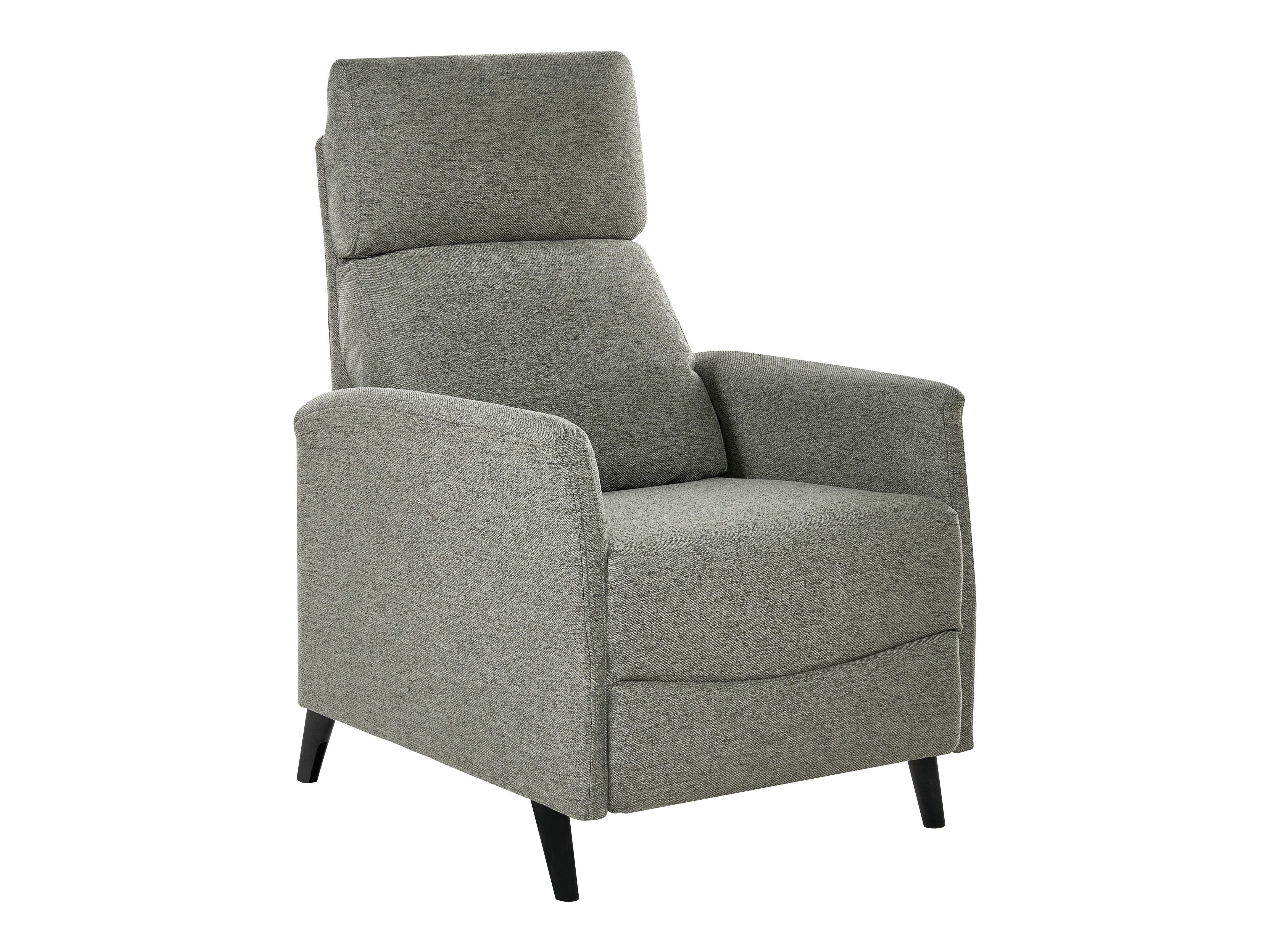 Tugitool recliner Berwyn 2462 (Heleroheline)