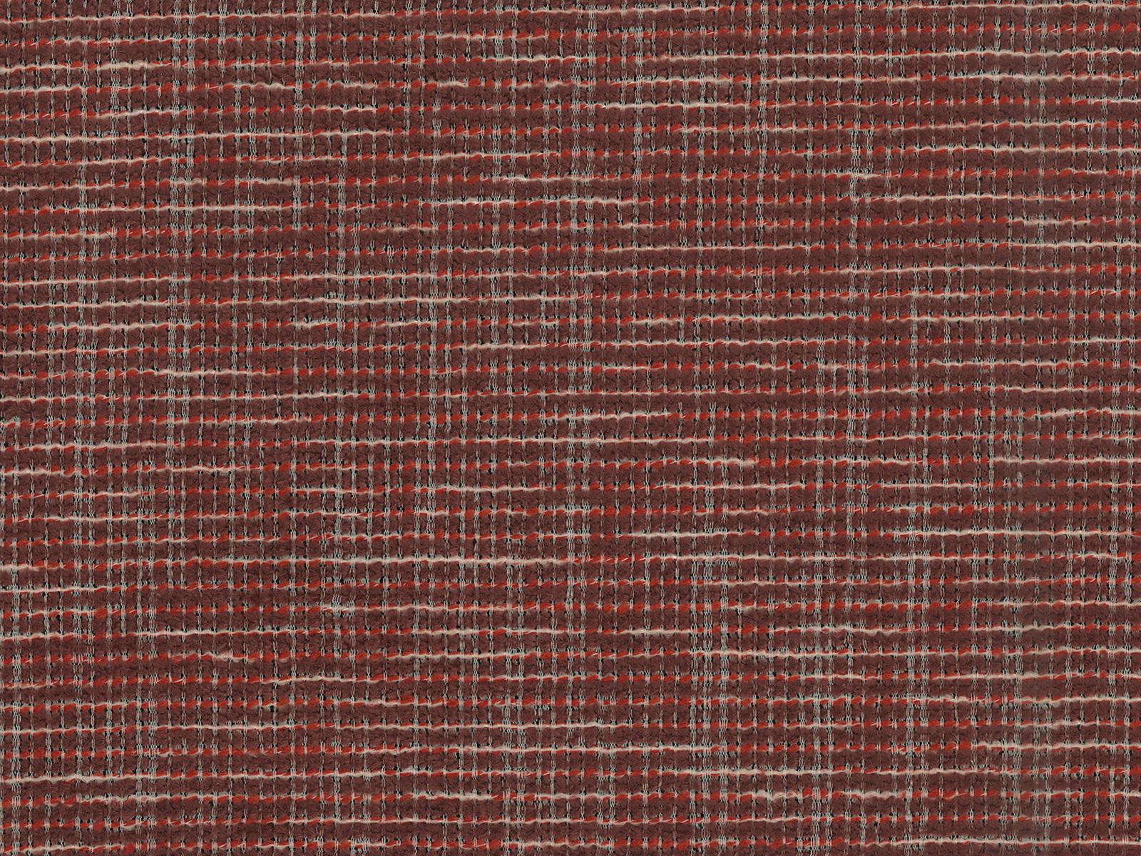 Nurgadiivan Tolmira 102 (Baltimore Marsala)