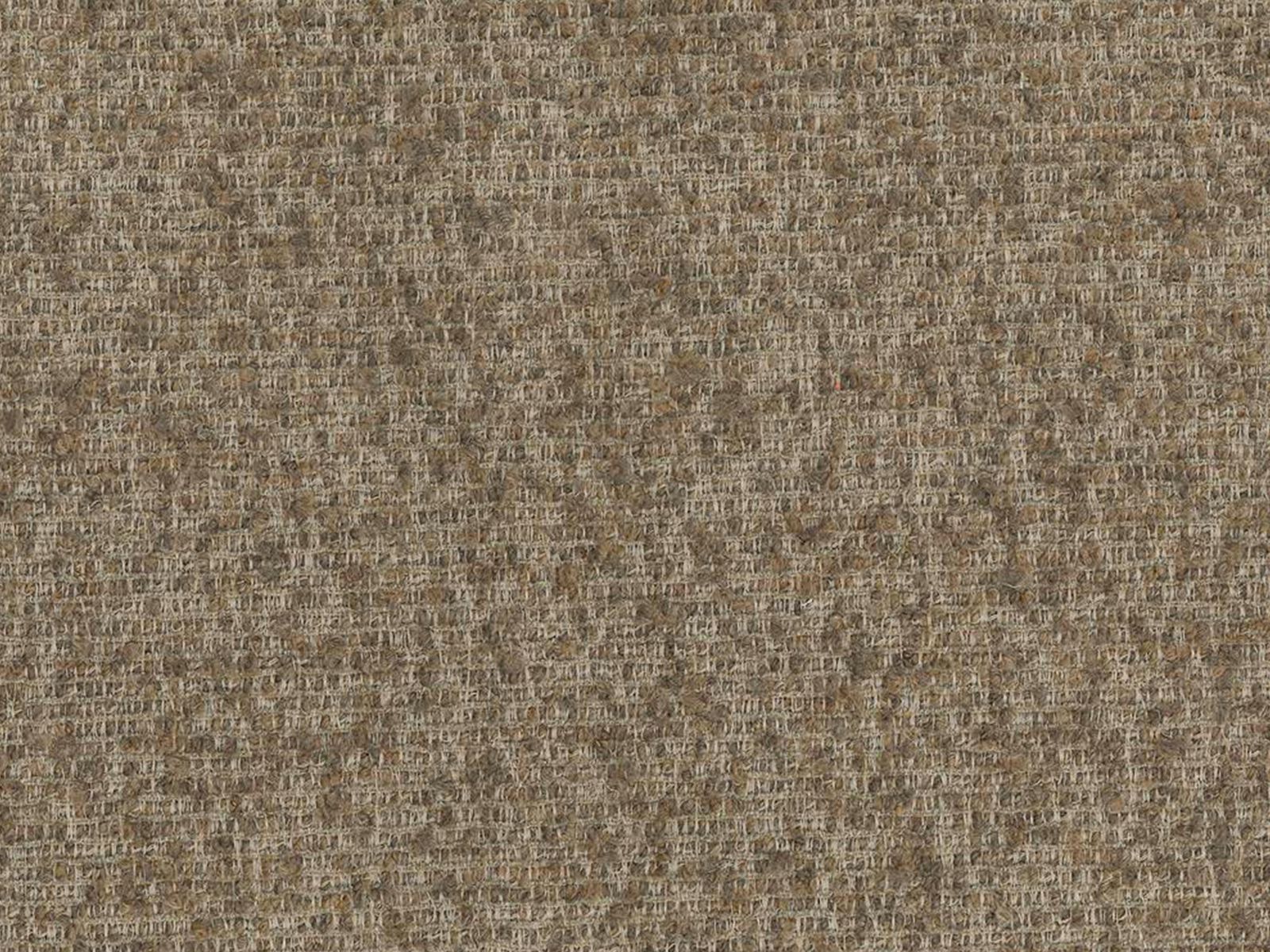 Voodi Sorcoro 117 (Monet Cappucimitte)