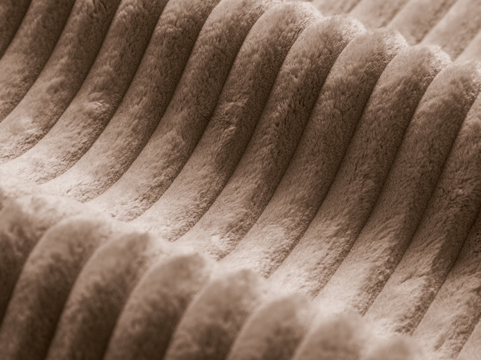 Moodultugitool Sorcoro 103 (Tilia 17)