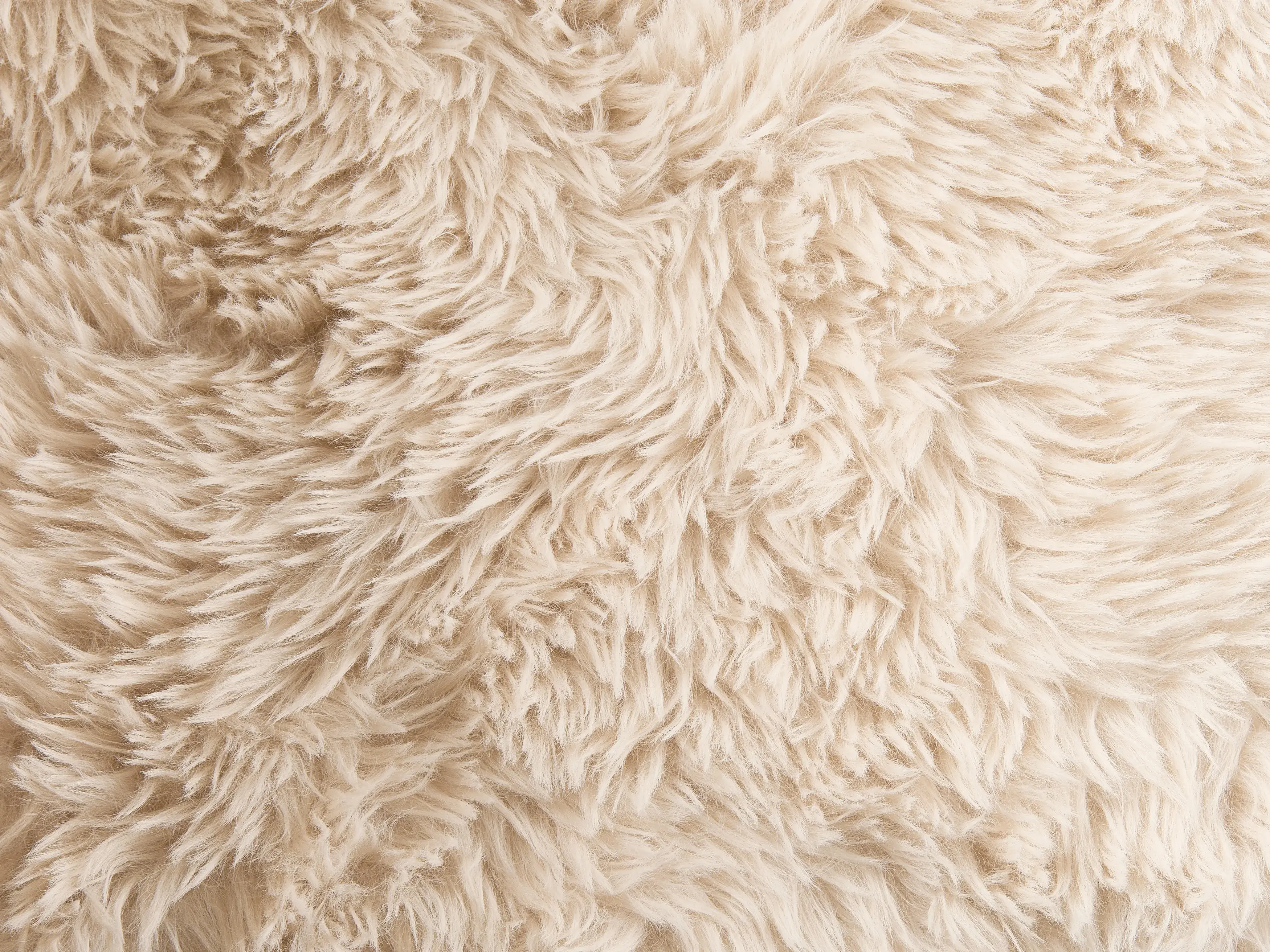 Pehme mööbli komplekt Berwyn 3269 (Valge + Helepruun)