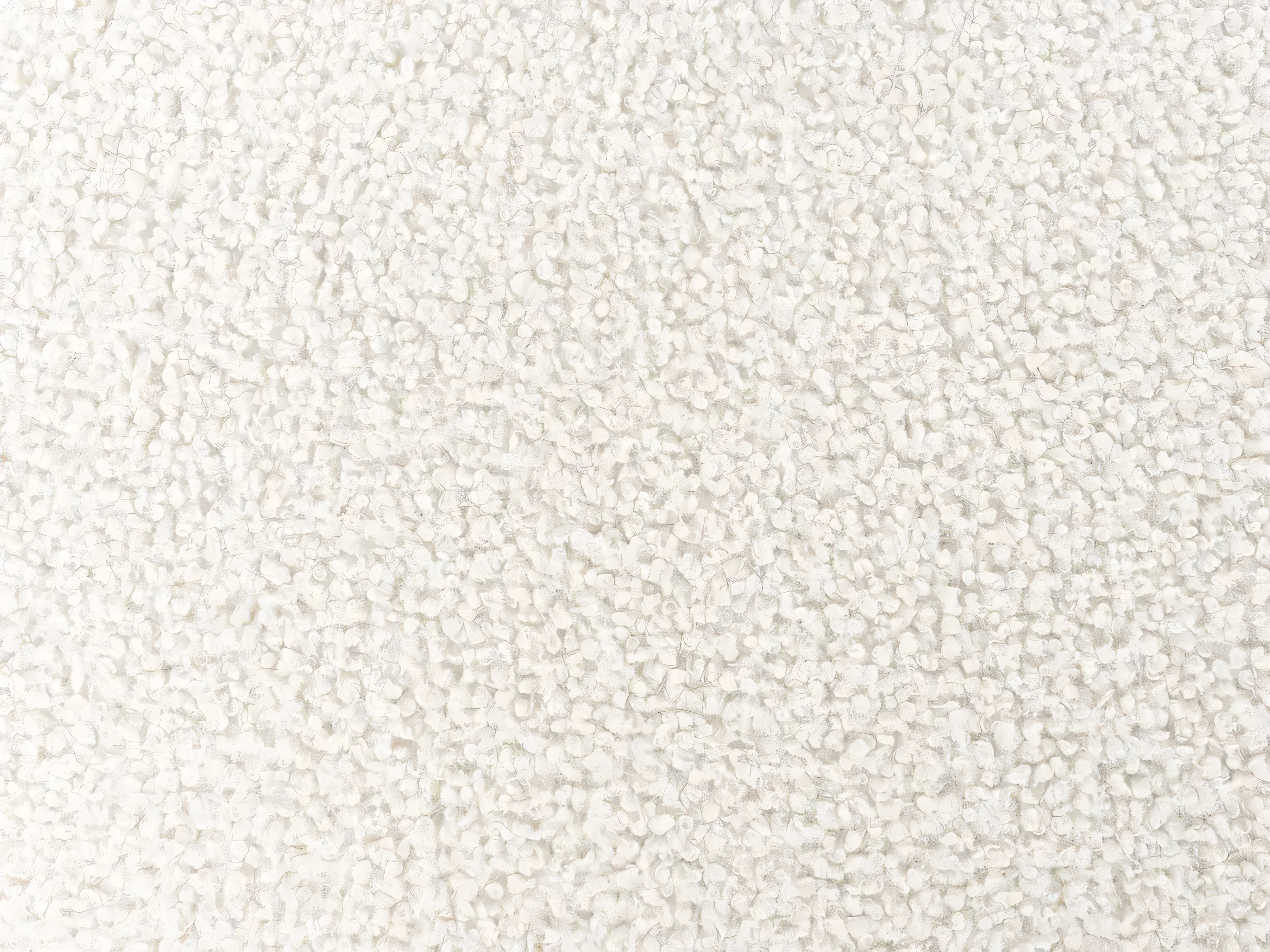 Pehme mööbli komplekt Berwyn 3307 (Valge)